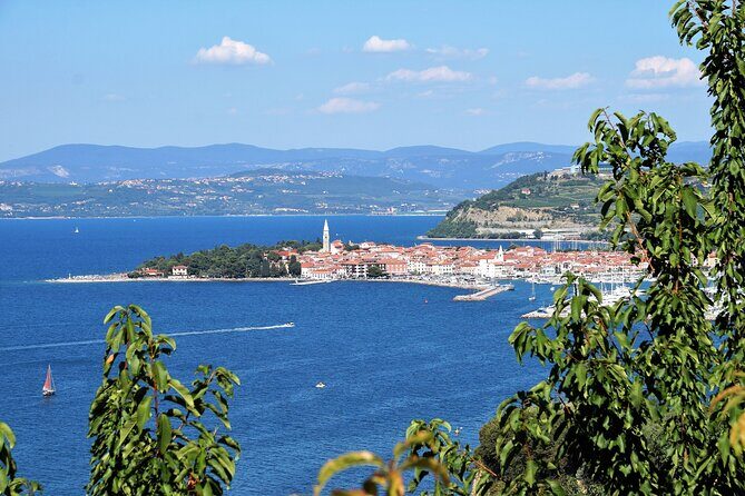 Piran & Panoramic Slovenian Coast - Small Group Tour from Koper - The Sum Up