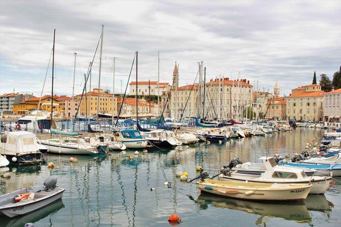Piran & Panoramic Slovenian Coast - Small Group Tour from Trieste - Who Should Consider This Tour?