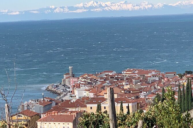 Piran & Panoramic Slovenian Coast Tour (up to 8 persons) - The Honest Wrap-Up
