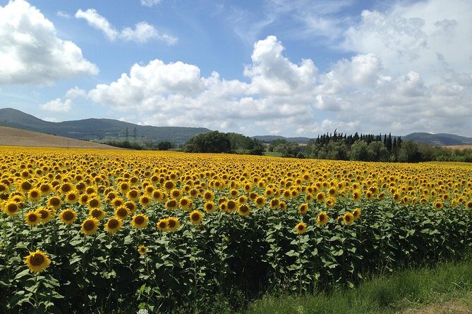 Pisa and San Gimignano Tour from Florence - Piazza dei Cavalieri: A Hidden Gem