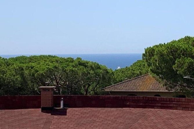 Pisa/Florence Airport Pick-up/Drop-off to Castiglioncello - The Experience in Detail