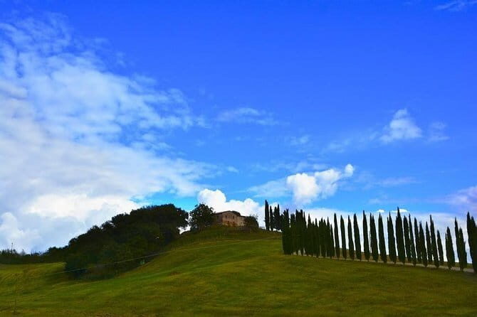 Pisa/Florence from Livorno - The Value of the Experience