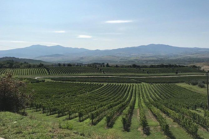 Pisa Full Day from La Spezia Port - Authentic Reviews and What They Tell Us