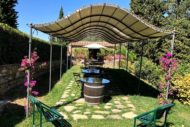 Pisa, Lucca & Winery Private Tour from Livorno port - The Sum Up