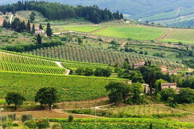 Pisa, San Gimignano and Chianti - Introduction: What to Expect from the Pisa, San Gimignano, and Chianti Tour