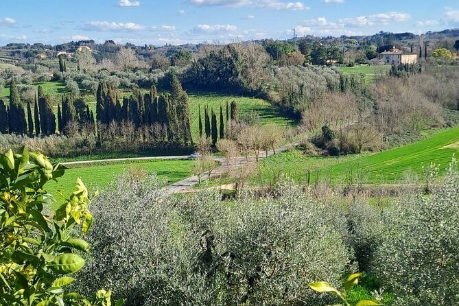 Pisa Tour and Wine Tasting on the Pisan Hills - Price and Value