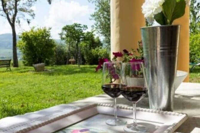 Pisa Tour and Wine Tasting on the Pisan Hills - Final Thoughts