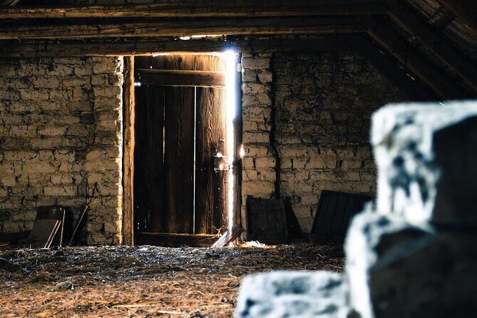 Pisa Walking Tour with Audio and Written Guide by a Local - Detailed Breakdown of the Itinerary