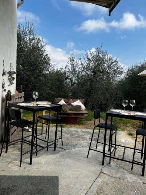 Pisa: Winery Tour and Wine Tasting with Local Food Pairing - Pisa: Winery Tour and Wine Tasting with Local Food Pairing — A Friendly Look