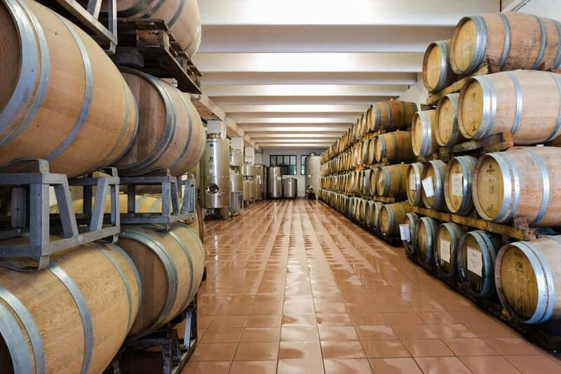 Pisoni: Stories of wine and flavors - Pisoni: Stories of wine and flavors — A genuine taste of Trentino