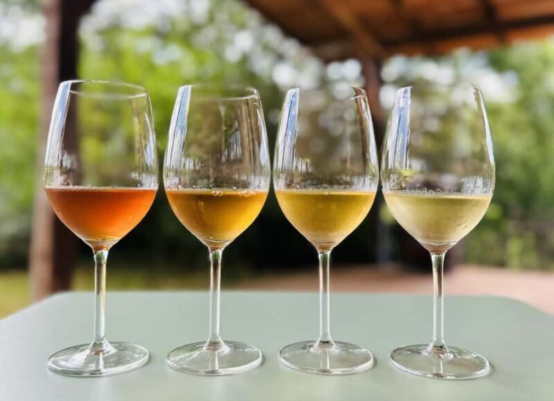 Pitigliano: Ciliegiolo Grape Wine Tasting - Who Will Love This Tour?