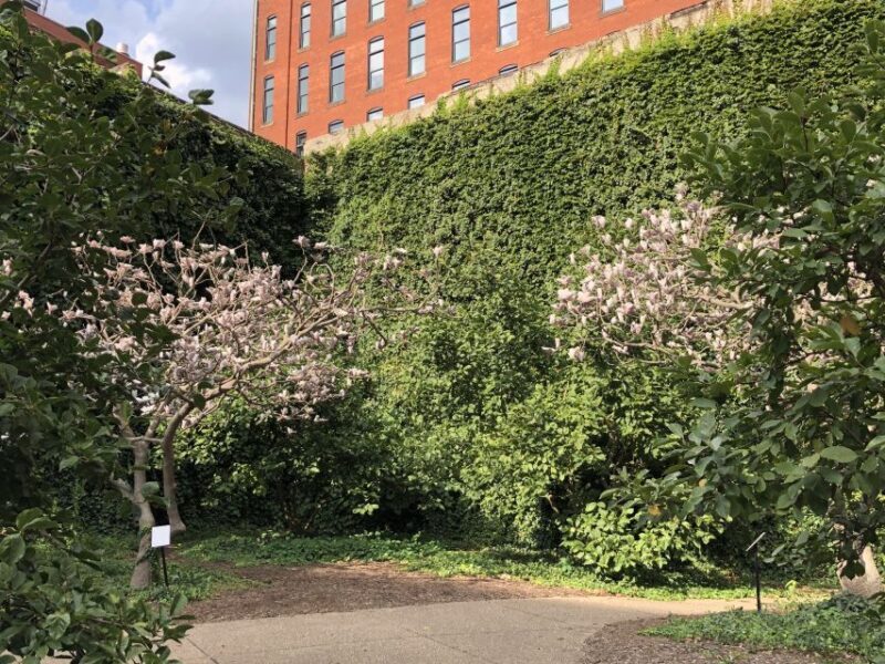 Pittsburgh: Best of the Burgh History and Architecture Tour - Downsides to Consider