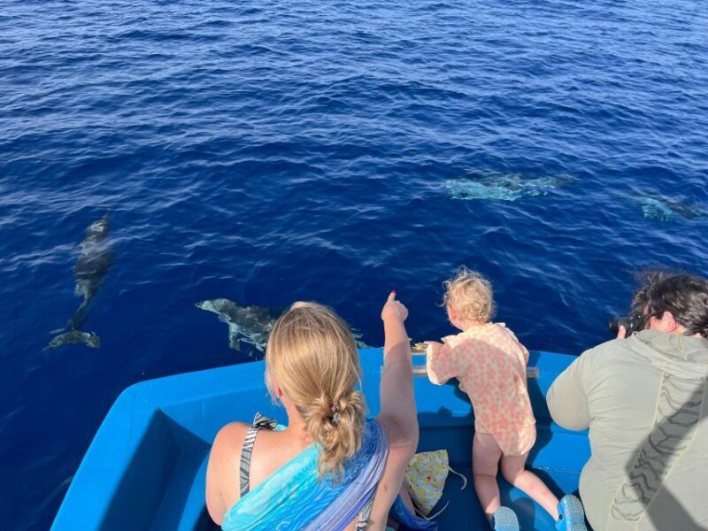 Pizzo: Fishing, Snorkeling, Dolphin Watching - Key Points