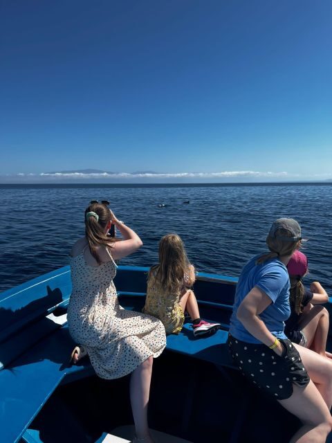 Pizzo: Fishing, Snorkeling, Dolphin Watching - The Experience & Group Dynamics