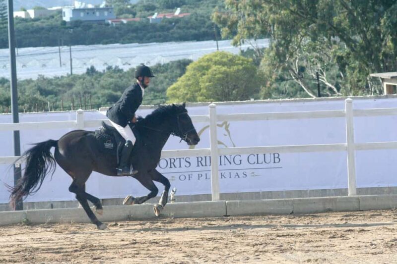 Plakias: Horse Riding Lesson - What to Expect From Your Horse Riding Lesson in Plakias