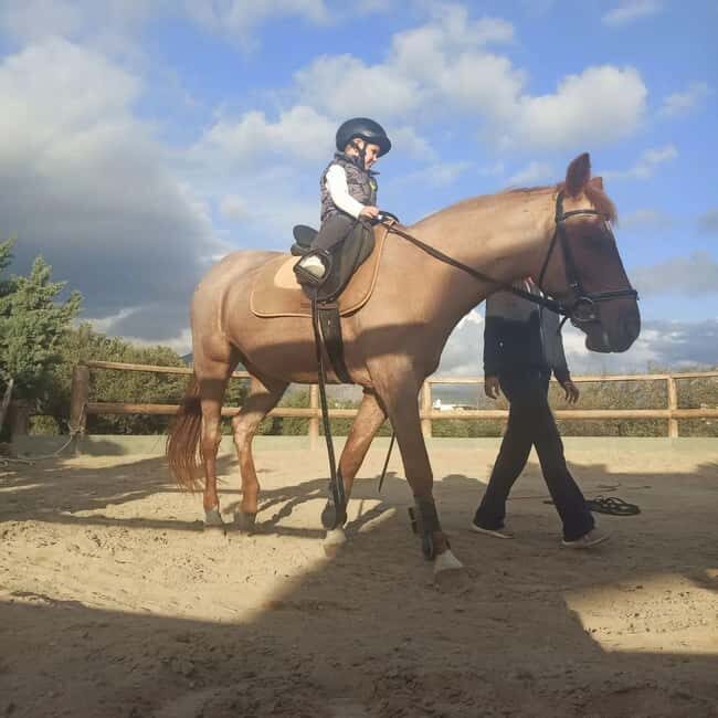 Plakias: Horse Riding Lesson - The Scenery and Setting