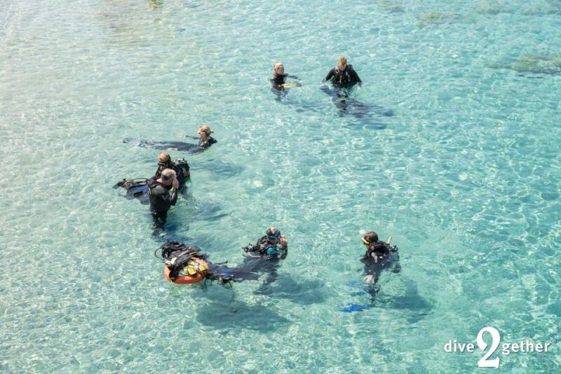 Plakias: Try Scuba Diving, private experience - from 8yrs - Key Points