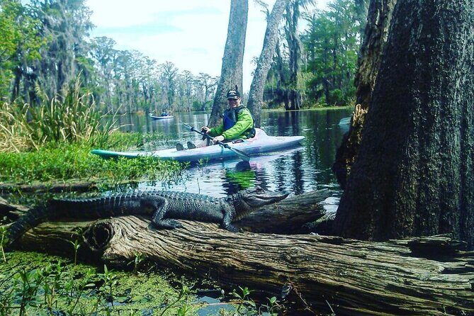 Plantation and Kayak Swamp Tour Adventure - Getting Started: What the Tour Offers