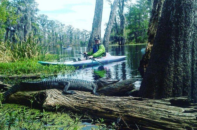 Plantation and Kayak Swamp Tour Adventure - Final Thoughts