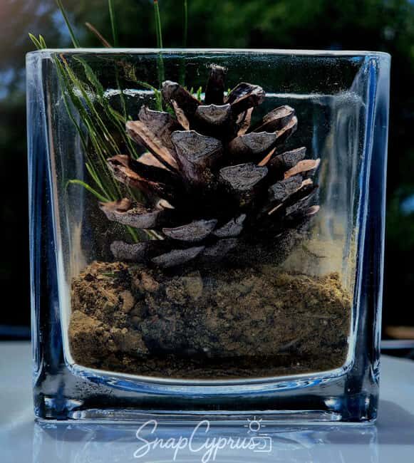 Platres & Omodos: Tour with Wine, Chocolate, Walks & Clicks - Discovering Cyprus’s Mountain Spirit