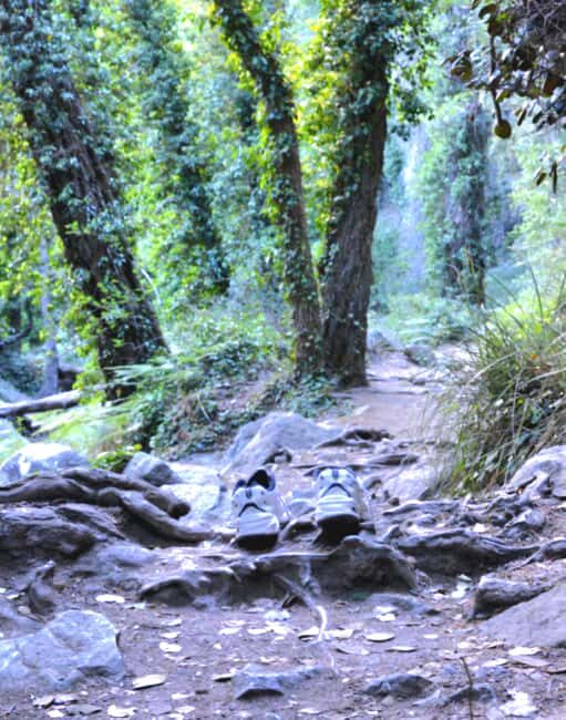 Platres & Omodos: Tour with Wine, Chocolate, Walks & Clicks - FAQs