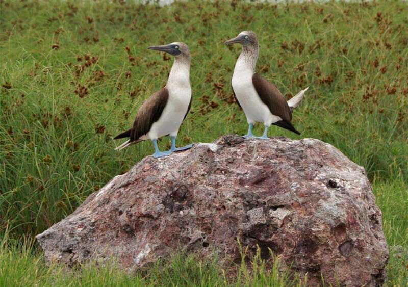 Playa del Amor: Incredible Hidden Beach Tour - Final Thoughts