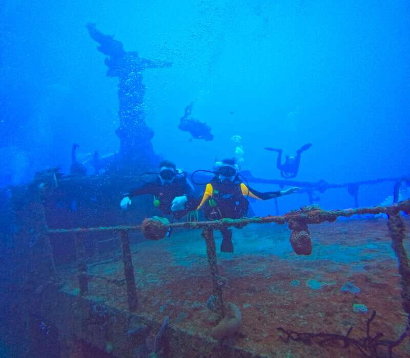 Playa del Carmen: 2-Tank Reef Dive - Exploring the 2-Tank Reef Dive Experience