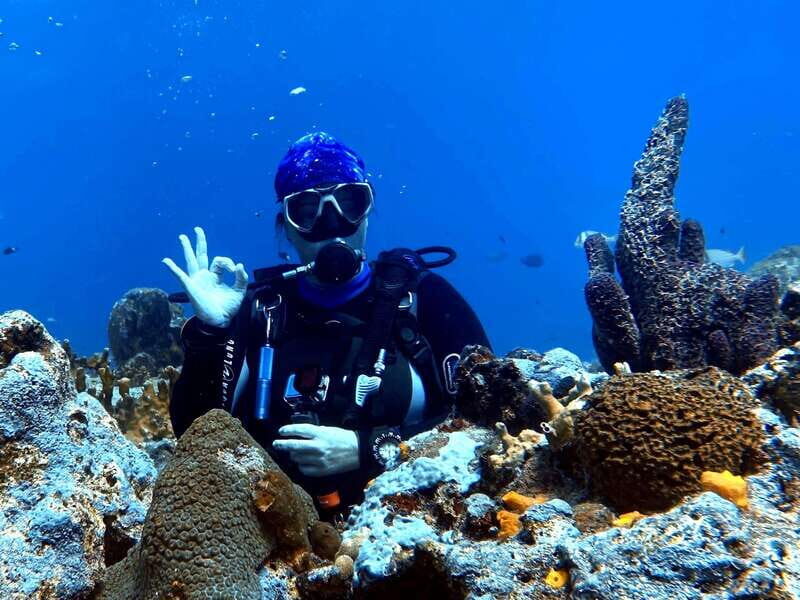 Playa del Carmen: 2-Tank Reef Dive - The Value of the Tour