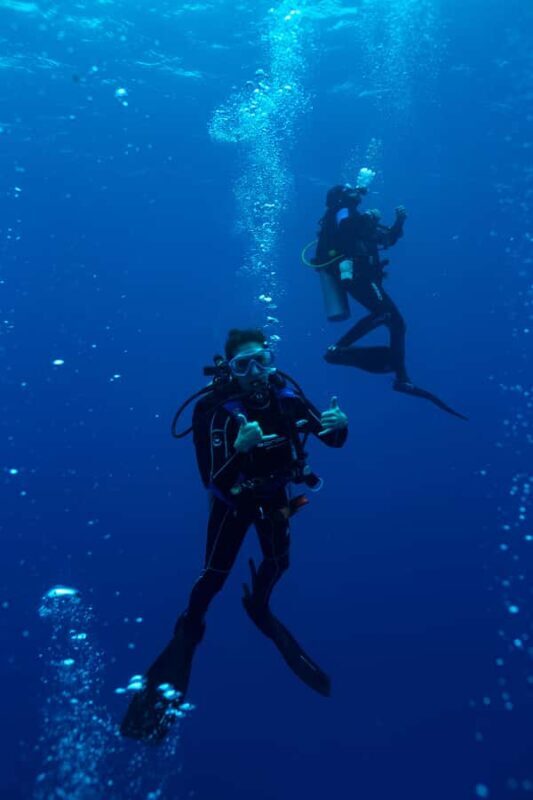 Playa del Carmen: Bull Shark Diving Experience - Who Is This Tour Right For?