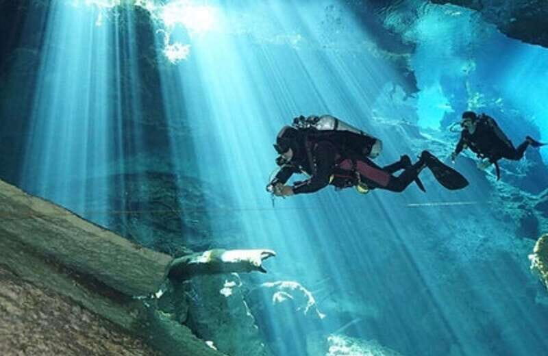 Playa del Carmen: Cenote Diving Experience - Key Points