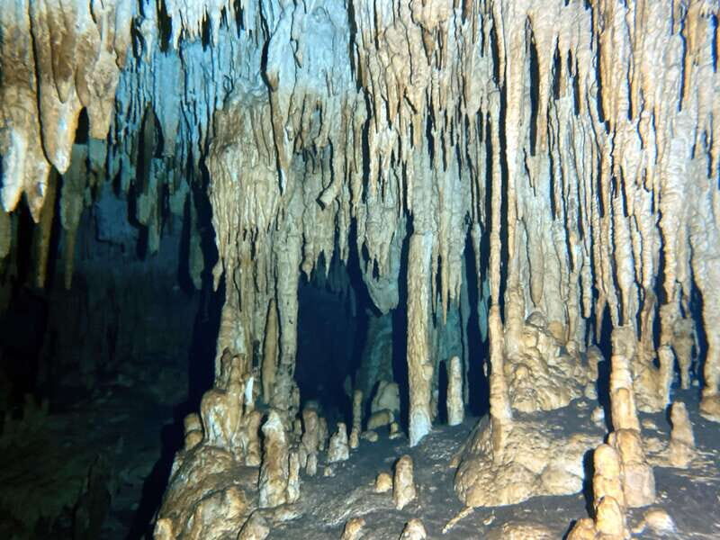 Playa del Carmen: Cenote Diving Experience - What to Expect from the Playa del Carmen Cenote Diving Tour