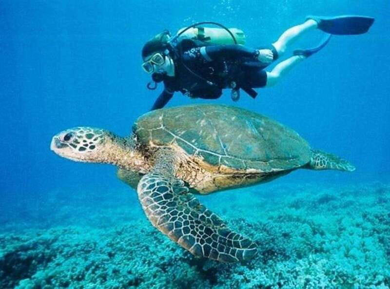 Playa del Carmen: Cenote Diving for Certified Divers - Key Points