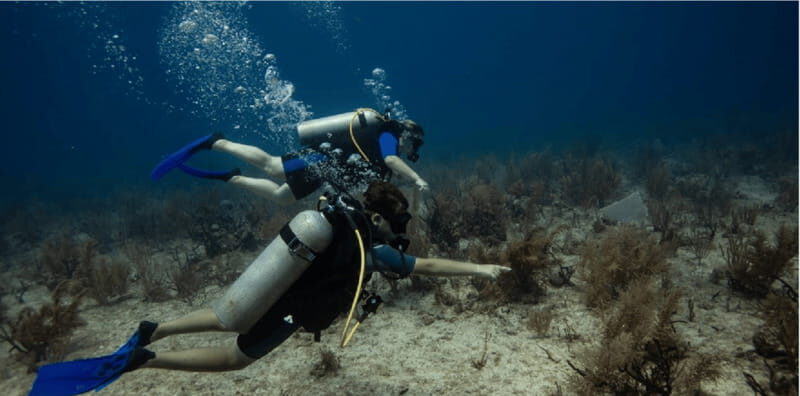 Playa del Carmen: Discover Scuba Diving - An honest look at the downsides