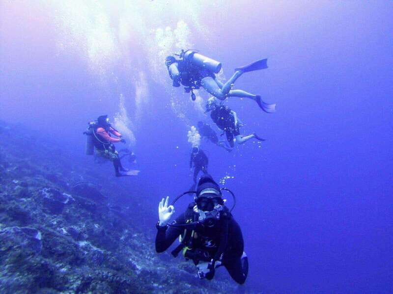 Playa del Carmen: Discover the Surreal World of Scuba Diving - FAQ