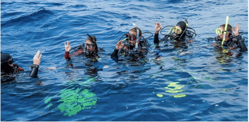 Playa del Carmen: Divemaster Course - The Pros and Cons