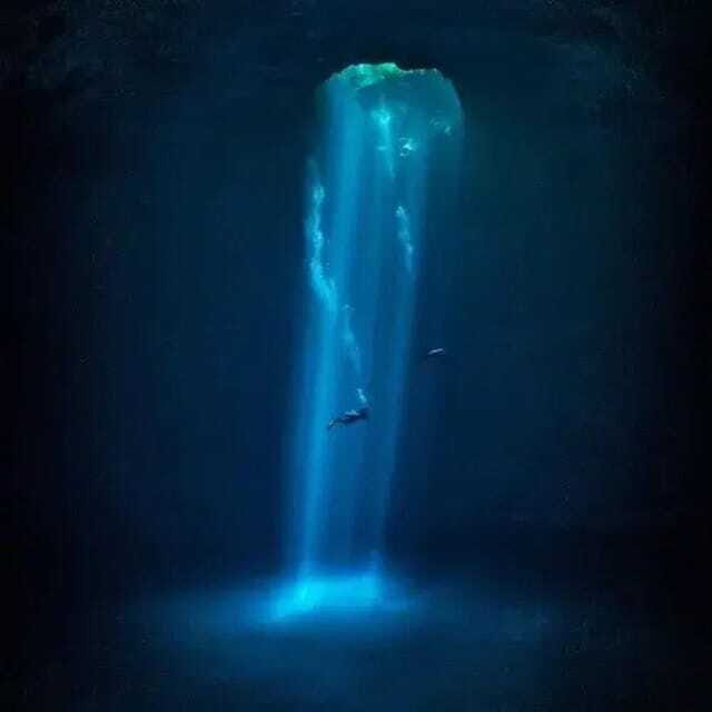 Playa del Carmen: Diving in Cenotes The Pit and Dos Ojos - Final Thoughts