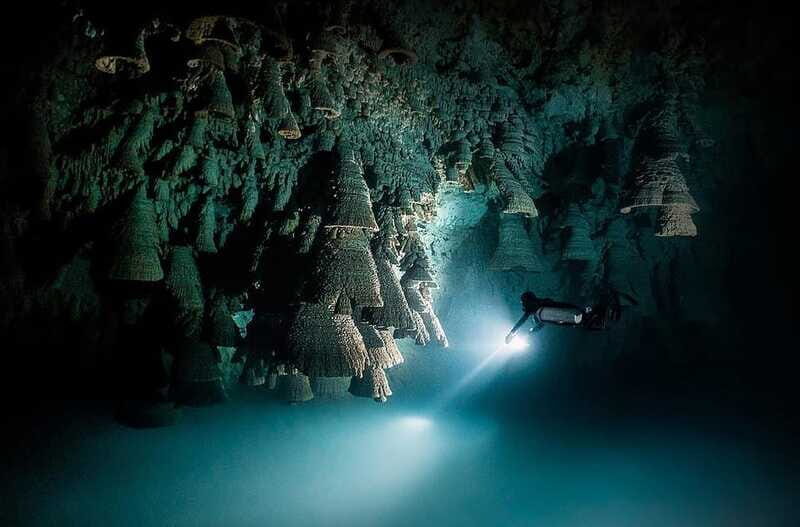 Playa del Carmen: Explore the Surreal World of Cenote Diving - FAQ