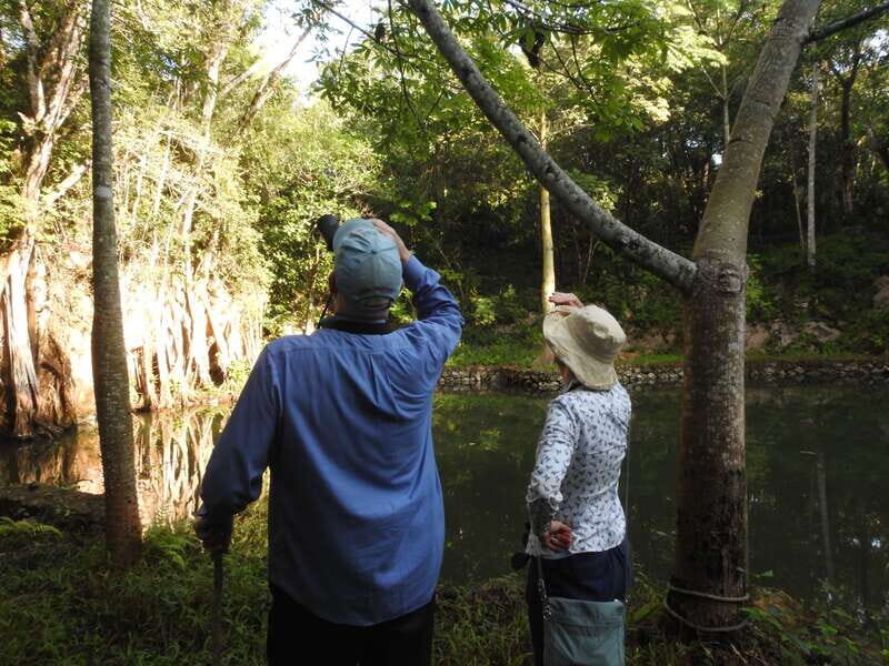 Playa del Carmen: Guided Birdwatching Hike - A Closer Look at the Birdwatching Hike