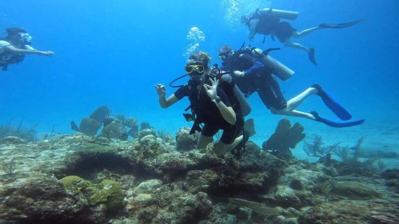 Playa del Carmen: Introductory Scuba Diving at Coral Reefs - Key Points