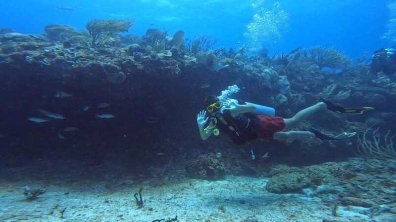 Playa del Carmen: Introductory Scuba Diving at Coral Reefs - Final Thoughts
