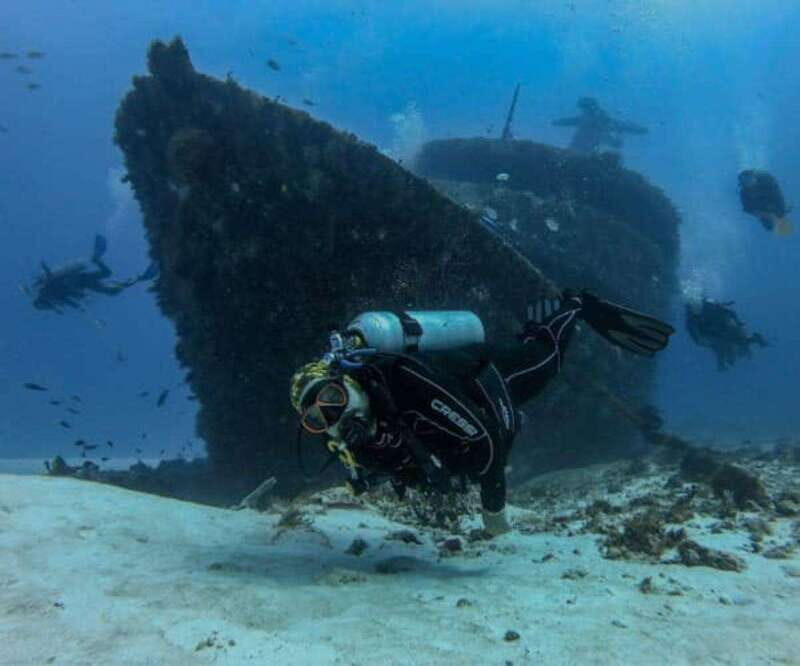Playa del Carmen: MamaViña Wreck & Reef for Certified Divers - Playa del Carmen: MamaViña Wreck & Reef for Certified Divers