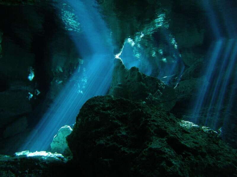 Playa del Carmen: Mind-Blowing Diving at Cenote Dos Ojos - What Makes This Cenote Dive Special?