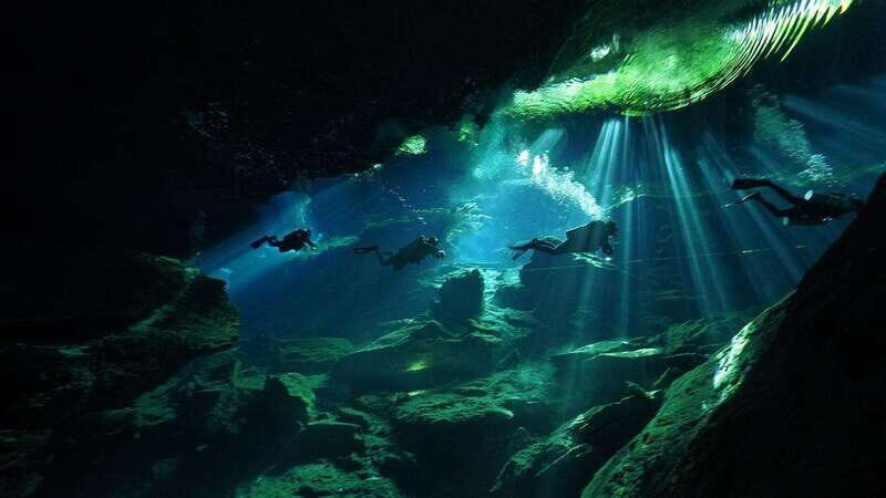 Playa del Carmen: Mind-Blowing Diving at Cenote Dos Ojos - The Experience: What You Will Feel and See