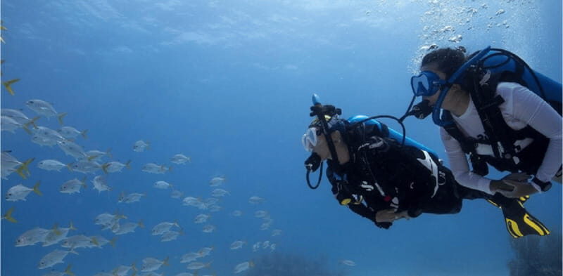 Playa del Carmen: Ocean Dive Tour - Key Points