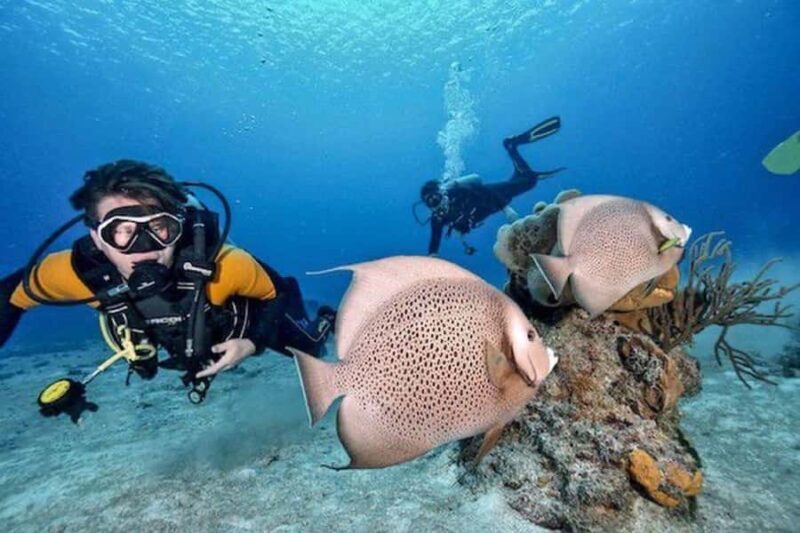 Playa del Carmen: Open Water Course - What to Expect from the Playa del Carmen Open Water Course