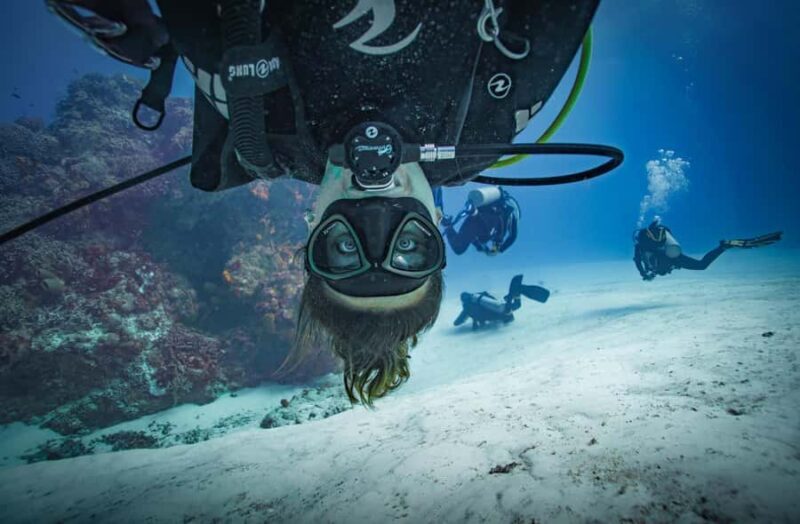 Playa del Carmen: Open Water Course - Practical Details & Tips