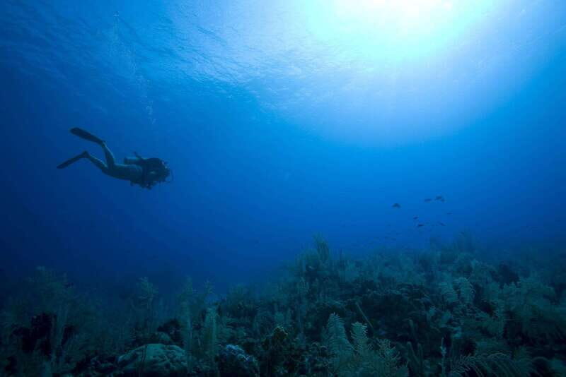 Playa del Carmen: PADI Advance Open Water in Riviera Maya - Final Thoughts: Who Will Love This?