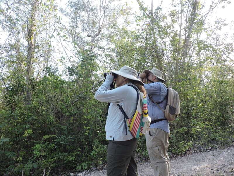 Playa del Carmen: Private Morning Birdwatching Tour - Value for Money