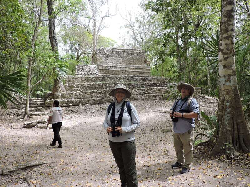 Playa del Carmen: Private Morning Birdwatching Tour - Who Should Consider This Tour?