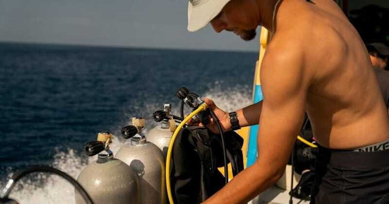 Playa del Carmen: Refresher Dive - The Sum Up